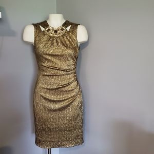 Cache gold foil dress
